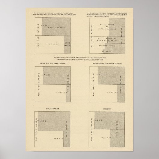 89 Arbeidskrachten, ingedeeld in 1900 Poster (Voorkant)