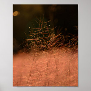 8×10 Roze Muhly Jeju-do Zuid-Korea Foto Afdruk Poster