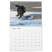 8 2016 Silken Windhounds in Action Calendar Kalender (Jan 2027)