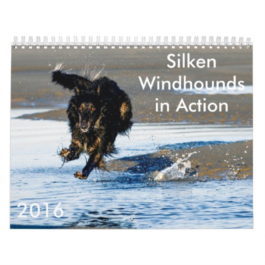 8 2016 Silken Windhounds in Action Calendar Kalender (Hoes)