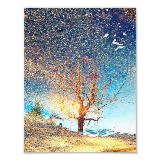 8,5-inch x11-inch fotoafdrukken | | Cherry Tree Pu Foto Afdruk (Voorkant)