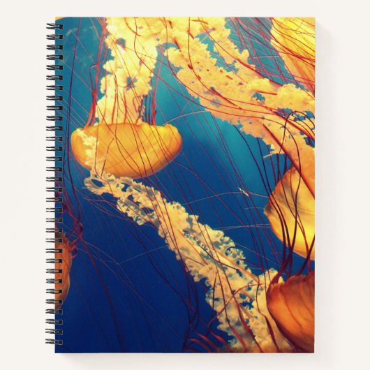 8,5-inch x 11-inch spiraalvormig Notitieboek (Voorkant)