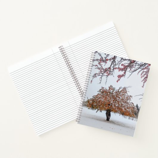 8,5 x 11 Notitieboek (Binnen)