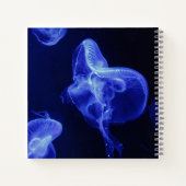 8,5" x 8,5" spiraal notebook notitieboek (Achterkant)