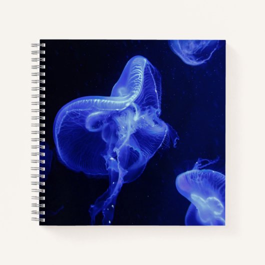 8,5" x 8,5" spiraal notebook notitieboek (Voorkant)