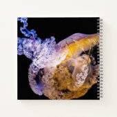 8,5" x 8,5" spiraal notebook notitieboek (Achterkant)