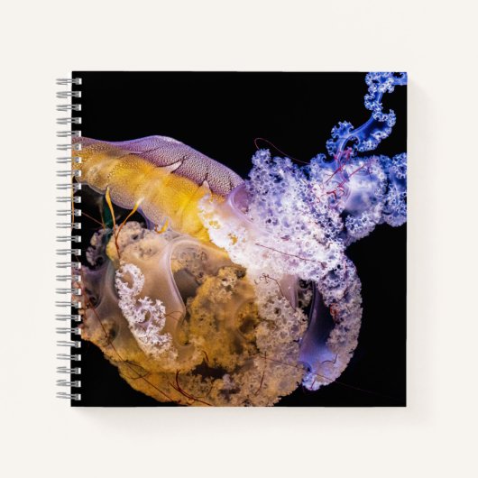 8,5" x 8,5" spiraal notebook notitieboek (Voorkant)