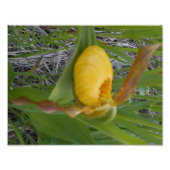 8,5x11 Foto afdrukken (Voorkant)