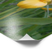 8,5x11 Foto afdrukken (Hoek)