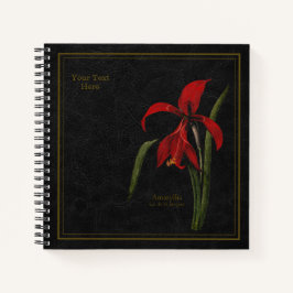 8,5x8,5" Amaryllis of Lis de St Jacques Zwart Notitieboek