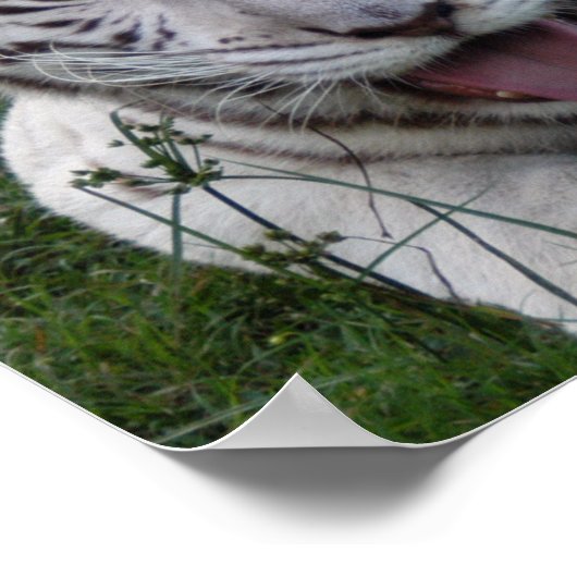 8,5x8.5 Poster/afdrukSjabloon Poster (Hoek)