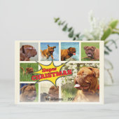 8 Afbeelding Familiefoto ✨ Custom Christmas Feestdagenkaart (Staand voorkant)