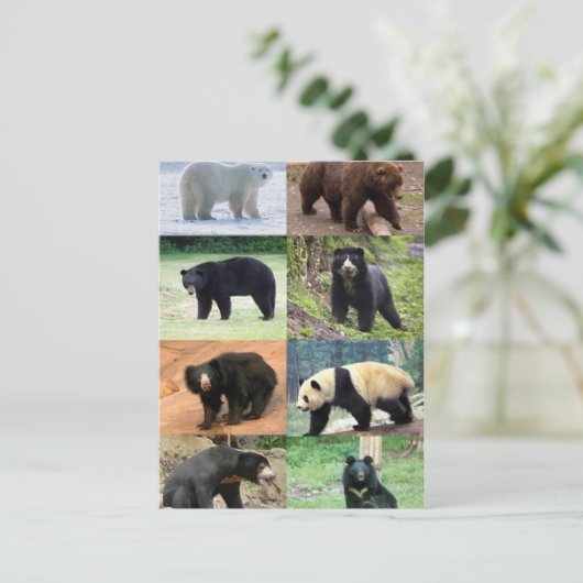 8 Beren van de wereld Briefkaart (Staand voorkant)