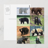 8 Beren van de wereld Briefkaart (Voorkant / Achterkant)
