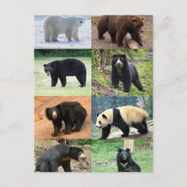 8 Beren van de wereld Briefkaart
