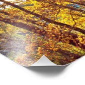 8 by 10 my view foto afdruk (Hoek)