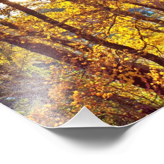 8 by 10 my view foto afdruk (Hoek)