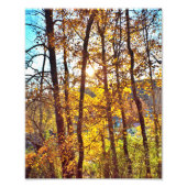 8 by 10 my view foto afdruk (Voorkant)