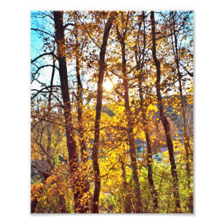 8 by 10 my view foto afdruk