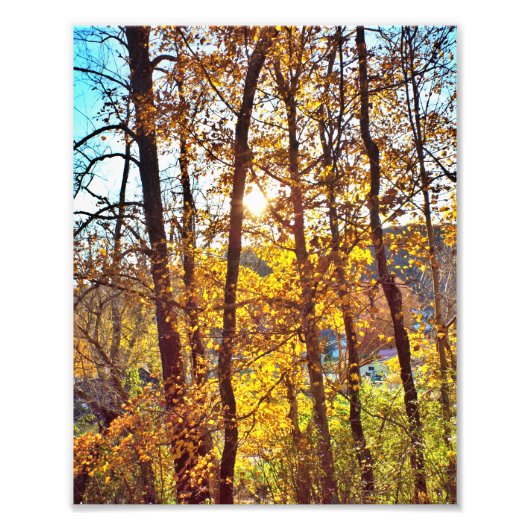 8 by 10 my view foto afdruk (Voorkant)