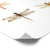 8 Dragonfly-soorten Poster (Hoek)