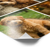 8 Foto Aangepaste Persoonlijke Sjabloon Collage Afdruk (Hoek)