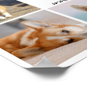 8 Foto Collage Hart Ik Hou Van Mijn Hond Poster (Hoek)