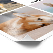 8 Foto Collage Huisdierherinnering Foto Vergroting Foto Afdruk (Hoek)