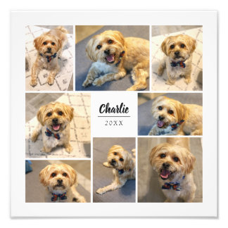 8 Foto Collage Persoonlijke foto Afdrukken