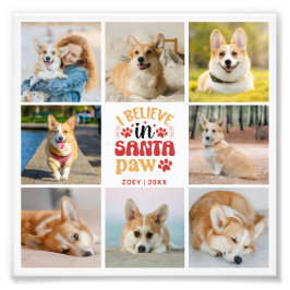 8 Foto Collage Pet Santa Paws Foto Uitbreiding Foto Afdruk