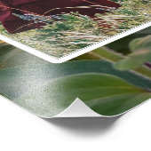 8 Foto "Grootouders maken het leven groot" Foto Afdruk (Hoek)