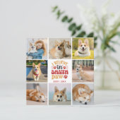 8 foto-inkuvelpet waarvan ik geloof in Santa Paw-K (Staand voorkant)