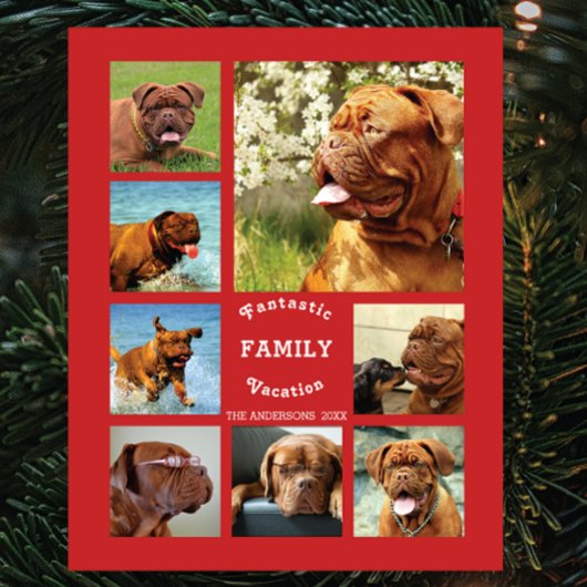 8 Foto's Familie Foto ✨ Aangepaste Herinneringen Fotoplaat