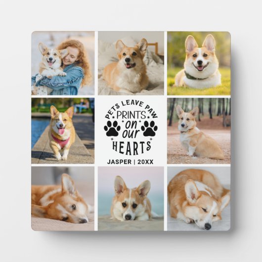 8 Herdenking van het herdenkingsprogramma voor col Fotoplaat (Voorkant)