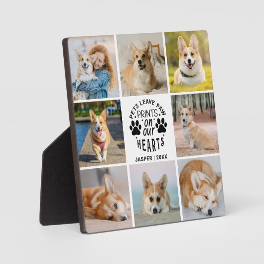 8 Herdenking van het herdenkingsprogramma voor col Fotoplaat (Voorkant)