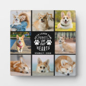 8 Herdenking van het herdenkingsprogramma voor col Fotoplaat (Voorkant)