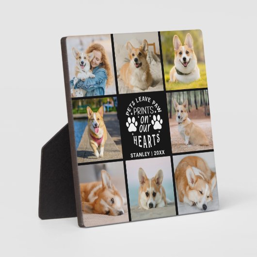 8 Herdenking van het herdenkingsprogramma voor col Fotoplaat (Voorkant)