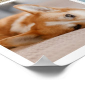 8 Herdenking van het herdenkingsprogramma voor col Poster (Hoek)