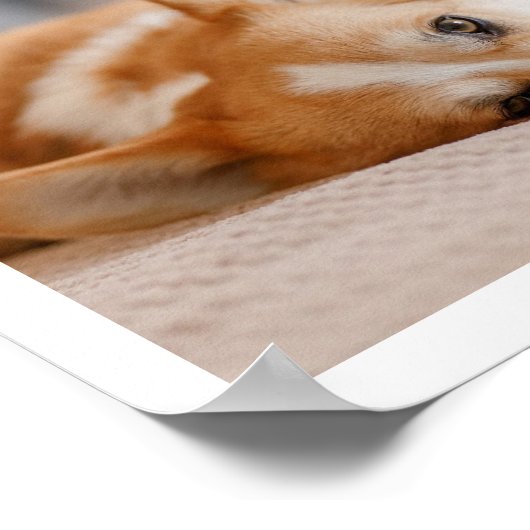 8 Herdenking van het herdenkingsprogramma voor col Poster (Hoek)