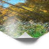 8-inch x12-inch fotoafdrukken || Mountain Puddle Foto Afdruk (Hoek)