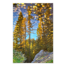 8-inch x12-inch fotoafdrukken || Mountain Puddle