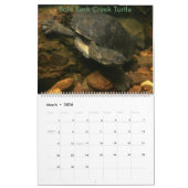 8 maanden Australische kalender voor zoetwaterschi (Mar 2026)