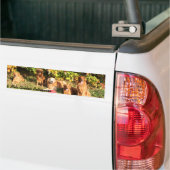 8 Mile Golden Retriever bumpersticker (Op Truck)
