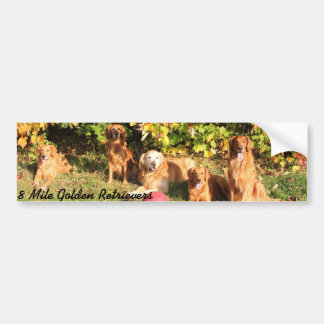 8 Mile Golden Retriever bumpersticker
