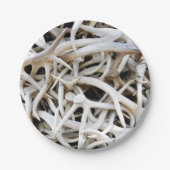 8 Papier Bord Elk Antlers (Voorkant)