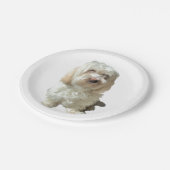 8 Papier Bord Wit Havanees (Gekanteld)