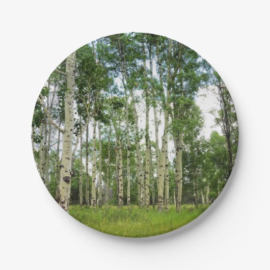 8 Papieren Borden Quaking Aspens Bordje (Voorkant)
