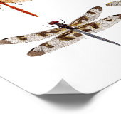 8 Poster voor libellen (Hoek)