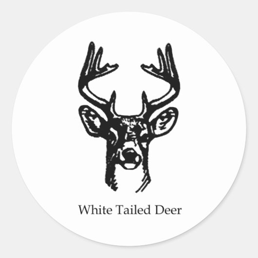 8-punts Buck White Tail Deal Ronde Sticker (Voorkant)