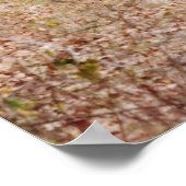 8-punts Wild Deer Buck Fotografische Kunst Afdrukk Poster (Hoek)